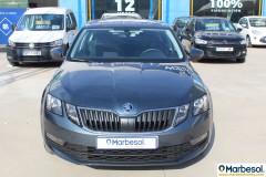 foto skoda octavia 1.0 tsi ambition 115 cv